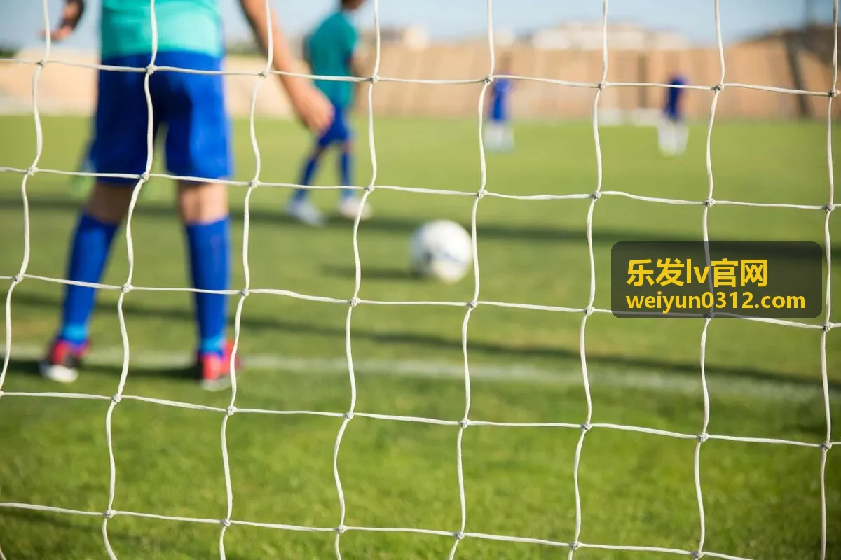 乐发lv数字营销推广案例